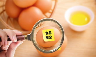 外貿(mào)進(jìn)口出貨全流程解析與技術(shù)咨詢(xún)要點(diǎn)
